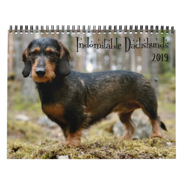 Calendrier Dachshunds indomptables Année personnalisée (Protection)