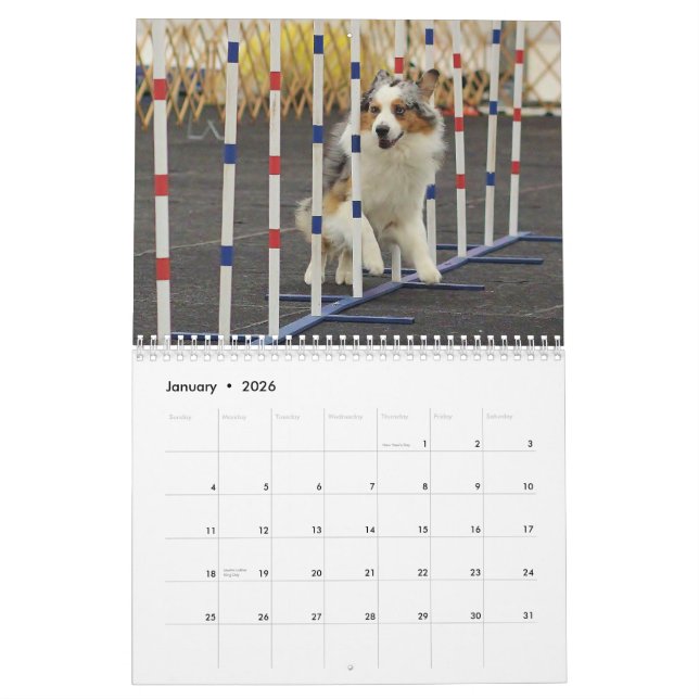 Calendrier d'agilité de berger de 2014 Australiens (Jan 2026)