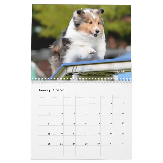 Calendrier d'agilité de chien de berger de (Jan 2026)