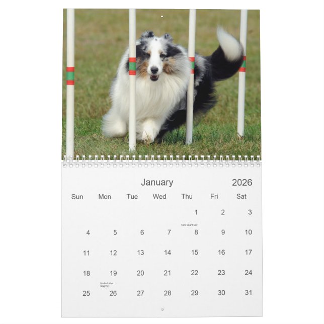 Calendrier d'agilité de chien de berger de (Jan 2026)