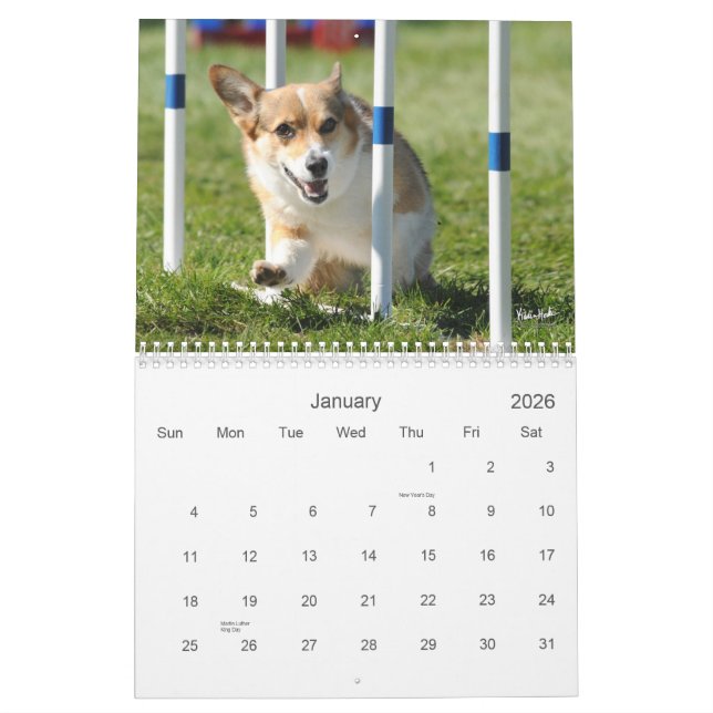 Calendrier d'agilité de corgi de Gallois de (Jan 2026)