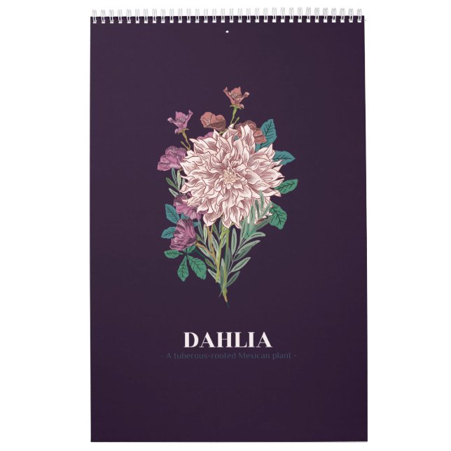 CALENDRIER DAHLIA (Protection)