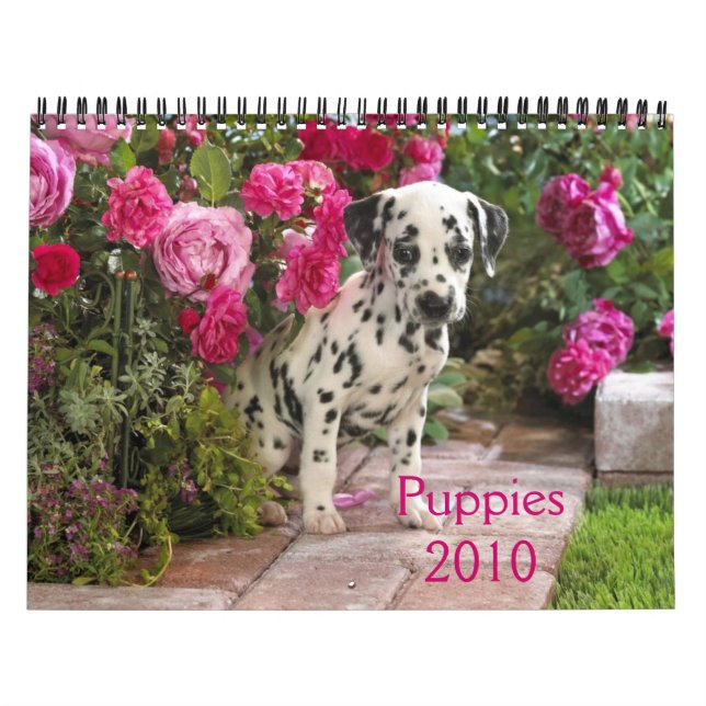 Calendrier Dalmate-Couverture, Puppies2010 (Protection)