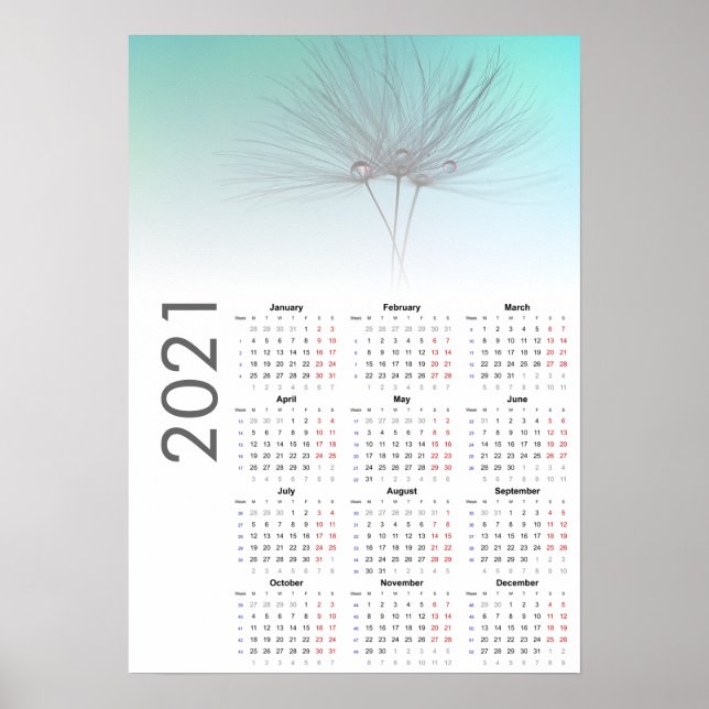 Calendrier Dandelion clocks Poster 2021 (Devant)