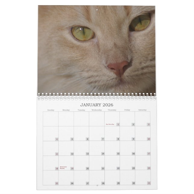 Calendrier d'animaux de délivrance (Jan 2026)