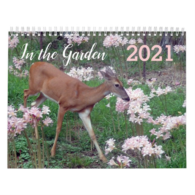 Calendrier Dans le jardin 2021 (Protection)