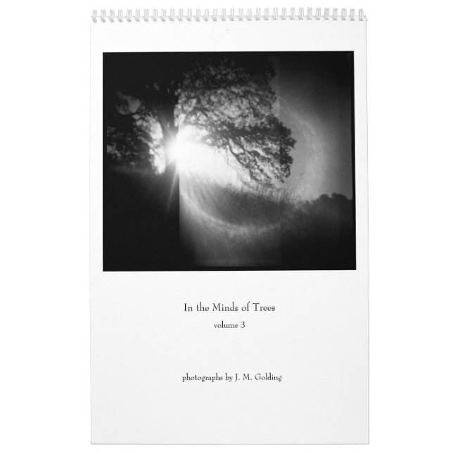 Calendrier Dans l'esprit des arbres, volume 3 (Protection)