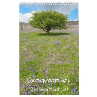 Calendrier Dartmoor #1 (Moyen A3)
