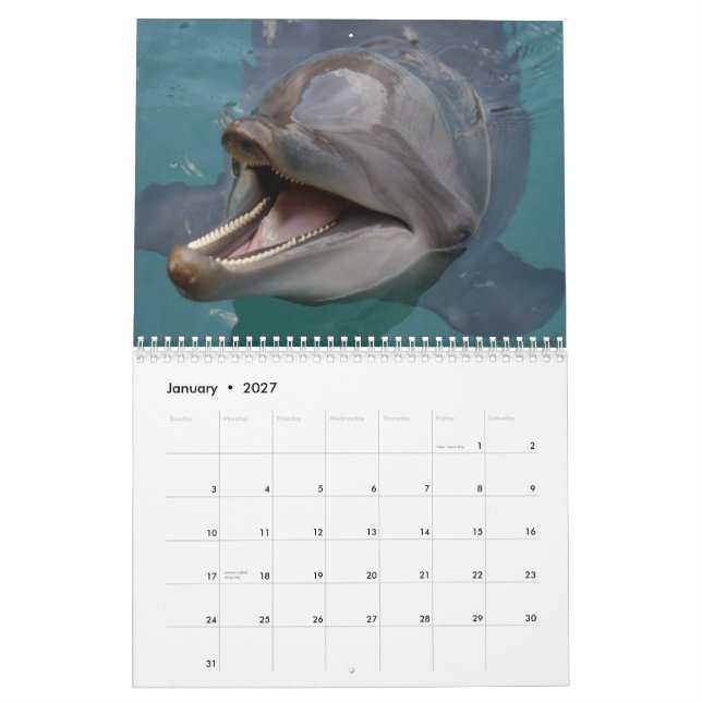 Calendrier dauphins (Jan 2027)