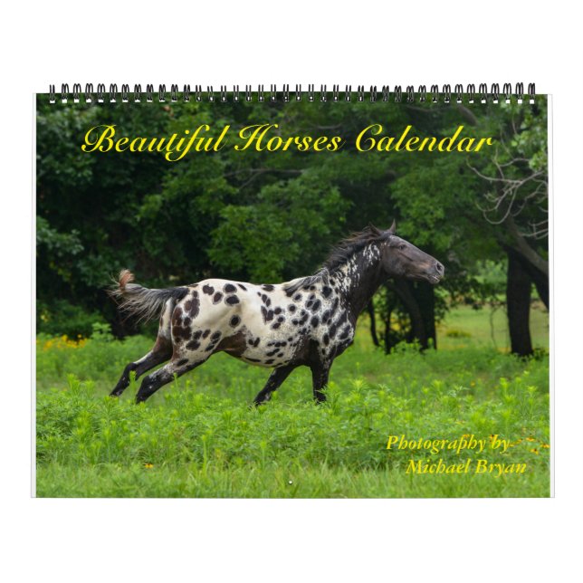 Calendrier de 12 chevaux de mois beau, grand (Protection)