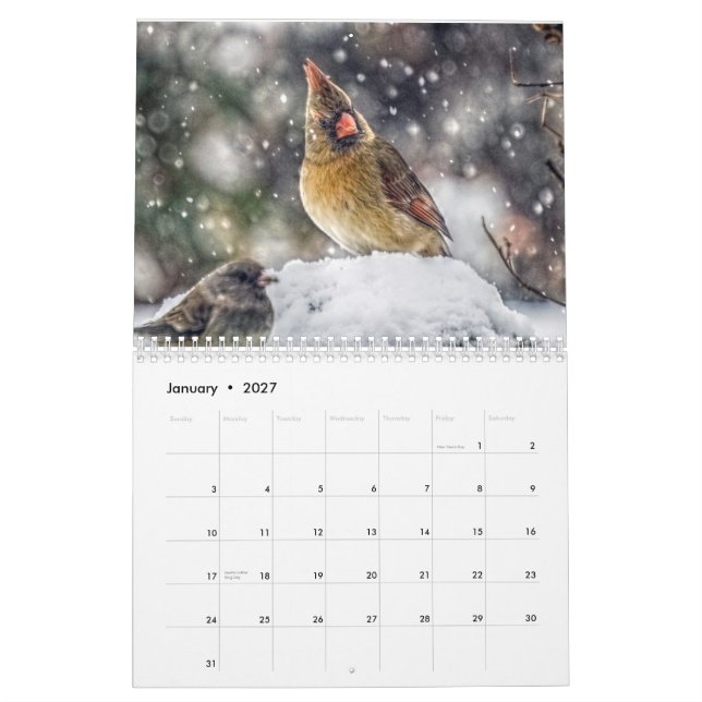 Calendrier de 12 mois (Jan 2027)