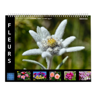 Calendrier de 12 mois de diverses fleurs