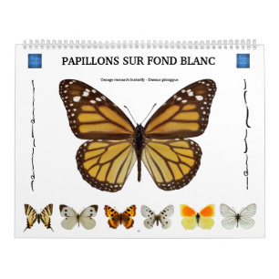 Calendrier de 12 mois divers papillons