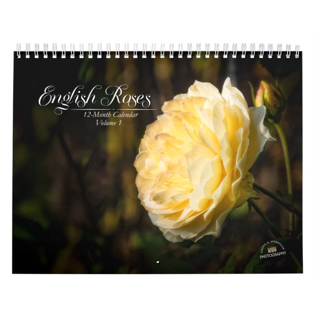 Calendrier de 12 mois en Rose anglais (Protection)