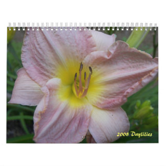 Calendrier de 2008 Daylilies - customisé
