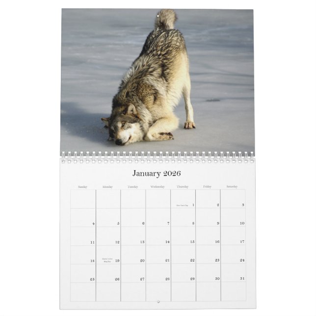 Calendrier de 2009 loups (Jan 2026)