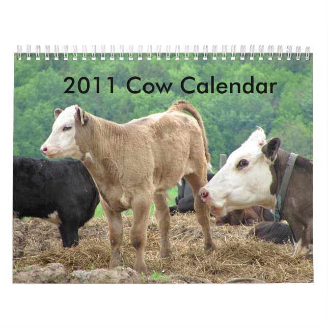 Calendrier de 2011 vaches (Protection)