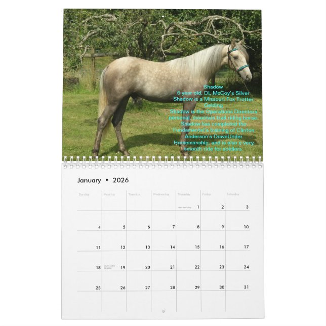 Calendrier de 2012 chevaux de RTR (Jan 2026)