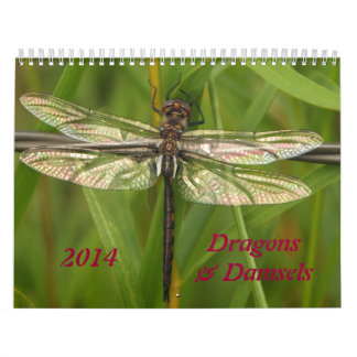 Calendrier de 2014 libellules et de Damselflies