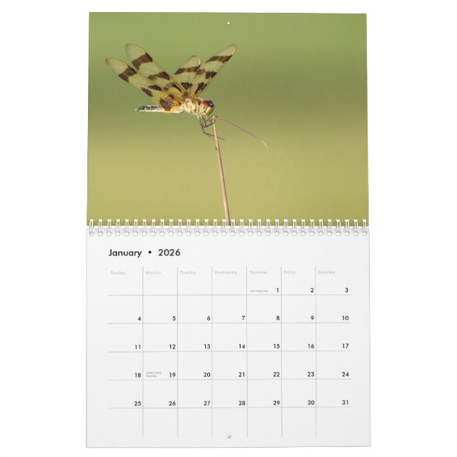 Calendrier de 2014 libellules et de Damselflies (Jan 2026)