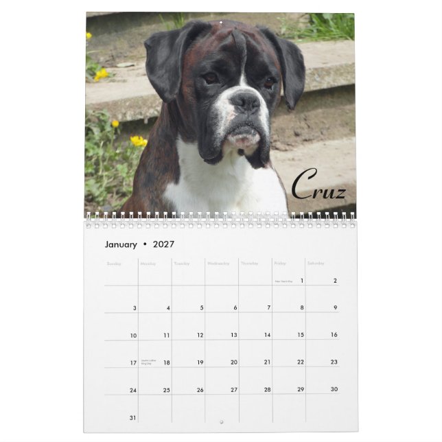 Calendrier de 2015 boxeurs d'exposition (Jan 2027)