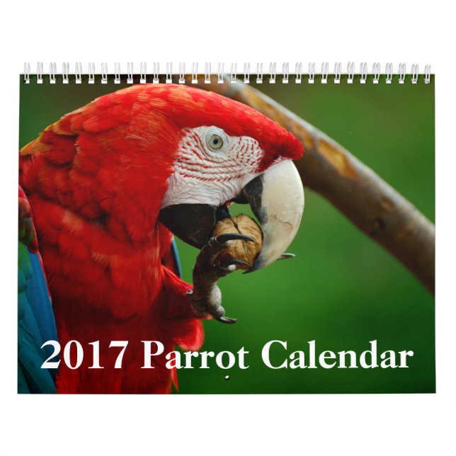 Calendrier de 2017 perroquets (Protection)
