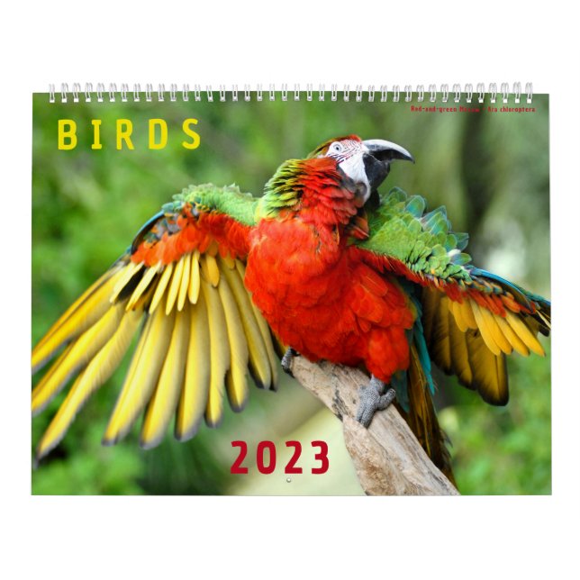 Calendrier de 2023 des photos de divers oiseaux (Protection)