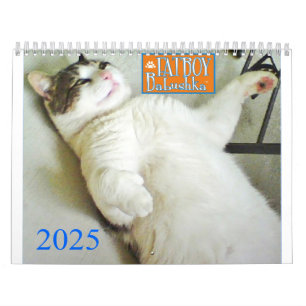 CALENDRIER DE BABUSHKA 2025