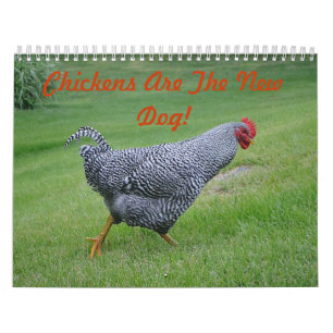 Calendrier de basse cour de poulet