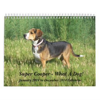 Calendrier de beagle de 12 mois - quel chien !
