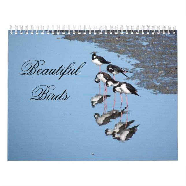 Calendrier de beaux oiseaux (Protection)