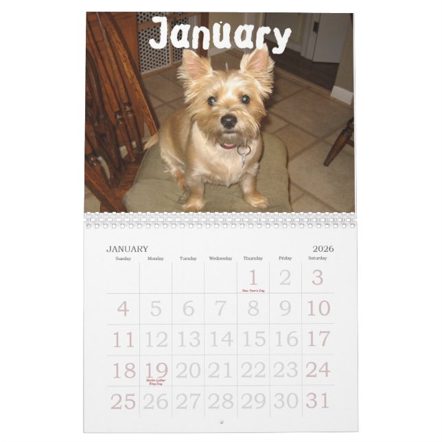Calendrier de Bilgewater (Jan 2026)