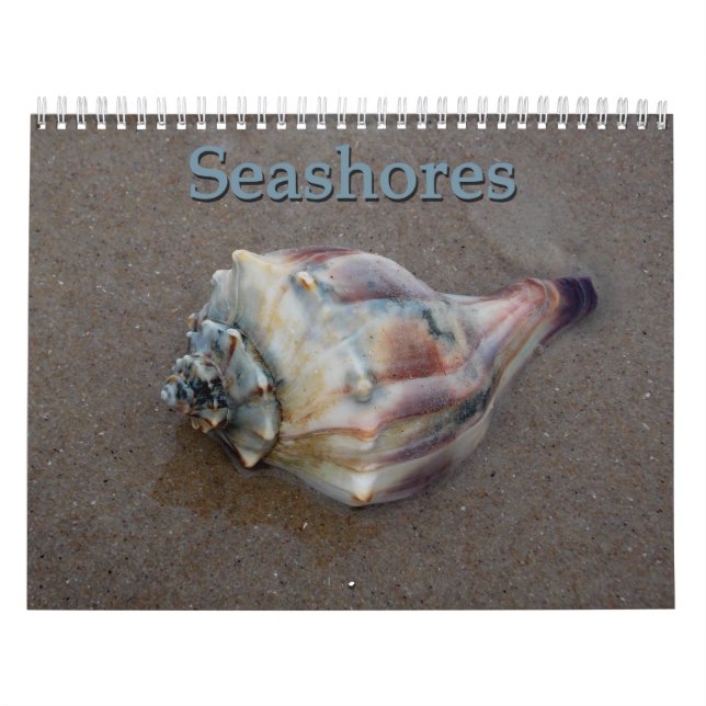Calendrier de bords de la mer (Protection)