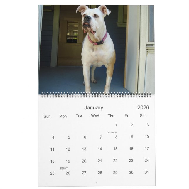 Calendrier de bouledogue de 2010 Américains (Jan 2026)