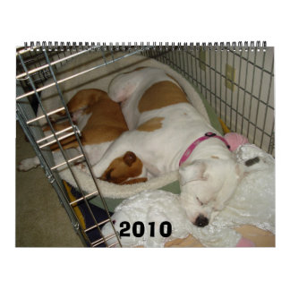 Calendrier de bouledogue de 2010 Américains