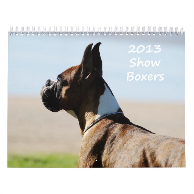 Calendrier de boxeur de 2013 expositions (Protection)