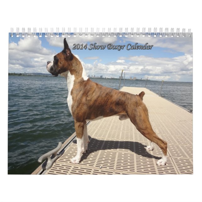 Calendrier de boxeur de 2014 expositions (Protection)