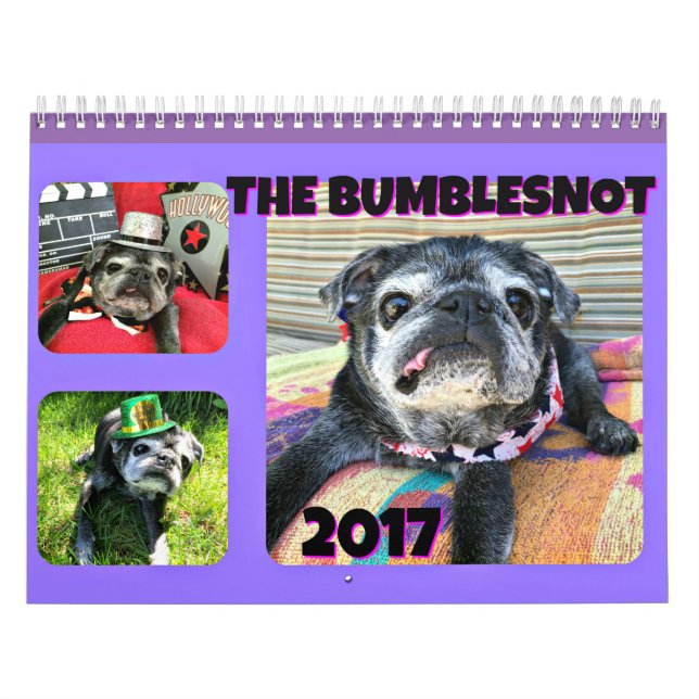 Calendrier de Bumblesnot 2017 (Protection)