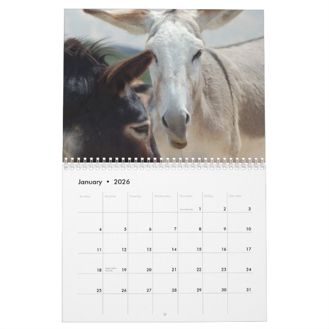 Calendrier de Burro et de cheval (Jan 2026)
