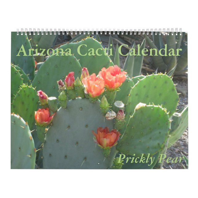 Calendrier de cactus de l'Arizona (Protection)