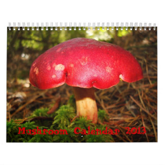 Calendrier de champignon