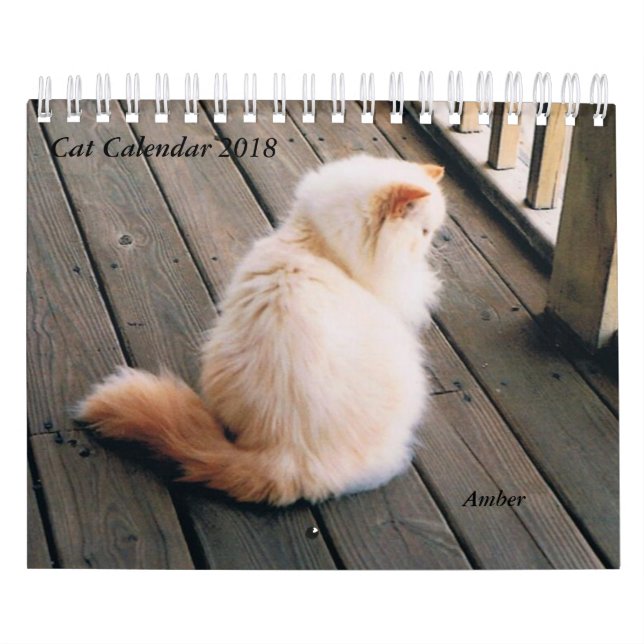 Calendrier de chat (Protection)
