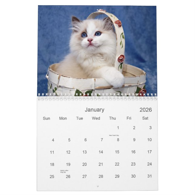 Calendrier de chat de Ragdoll (Jan 2026)
