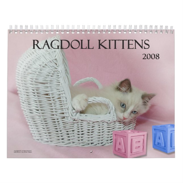 Calendrier de chatons de Ragdoll (Protection)