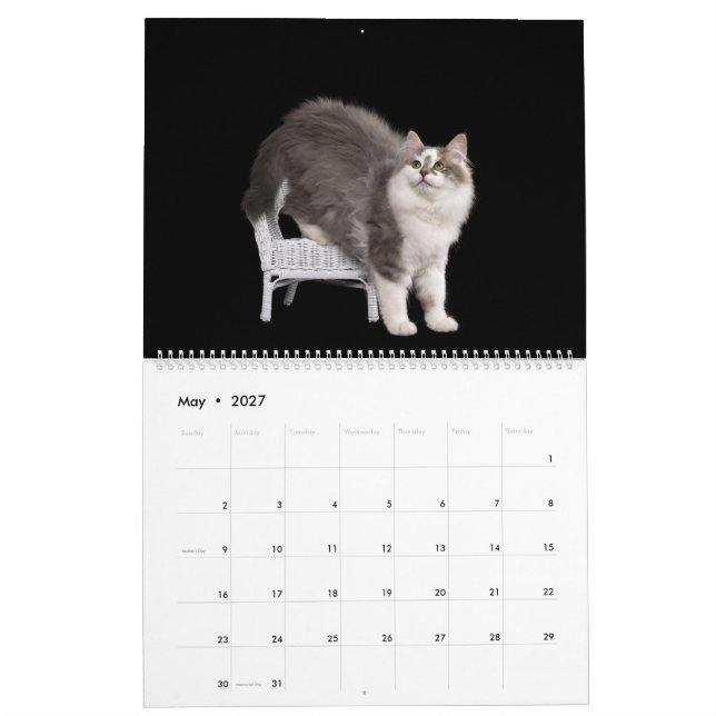 Calendrier de chatons sibériens (Mai 2027)