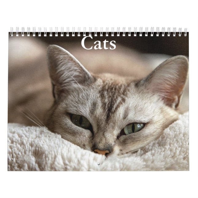 Calendrier de chats (Protection)