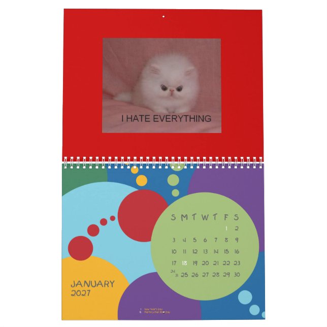 Calendrier de chats de LOL (Jan 2027)