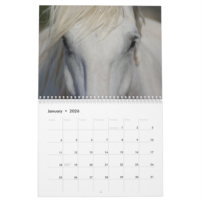 Calendrier de chevaux du trait #1 (Jan 2026)