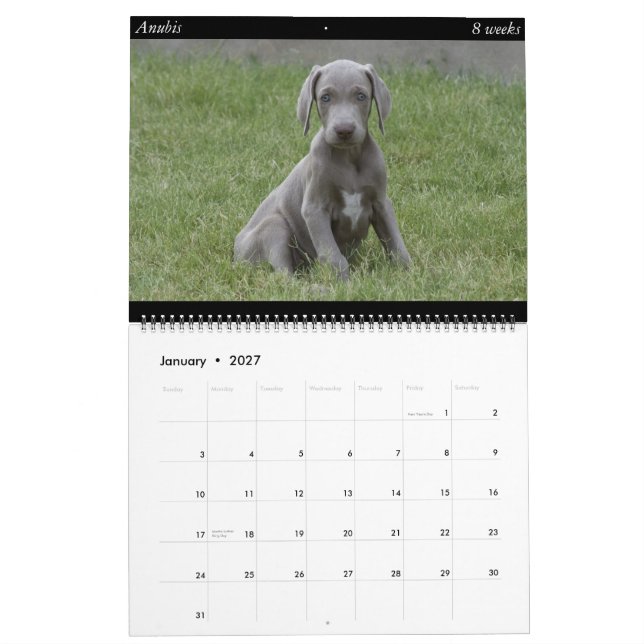Calendrier de chien (Jan 2027)