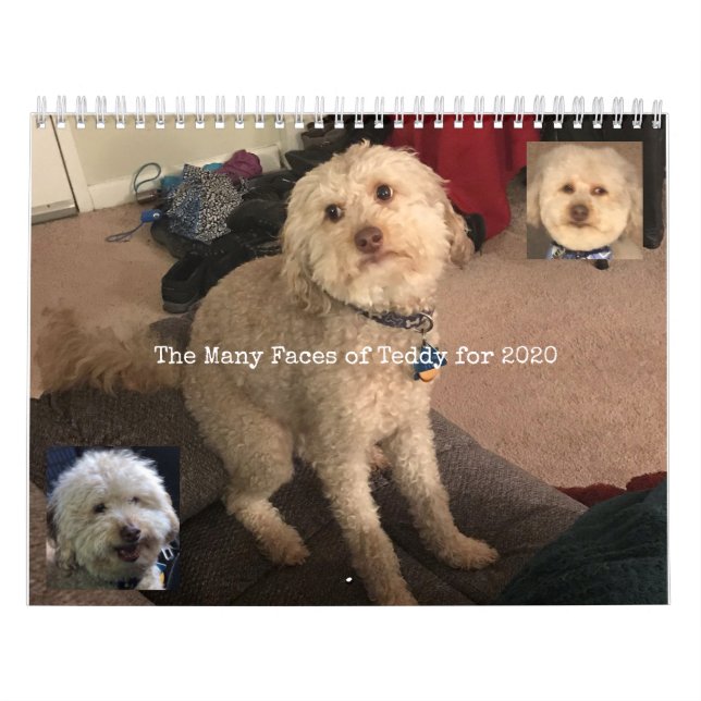 Calendrier de chien (Protection)